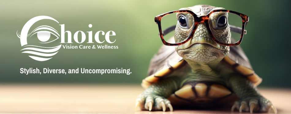 Koala Wearing Sunglasses Glasses